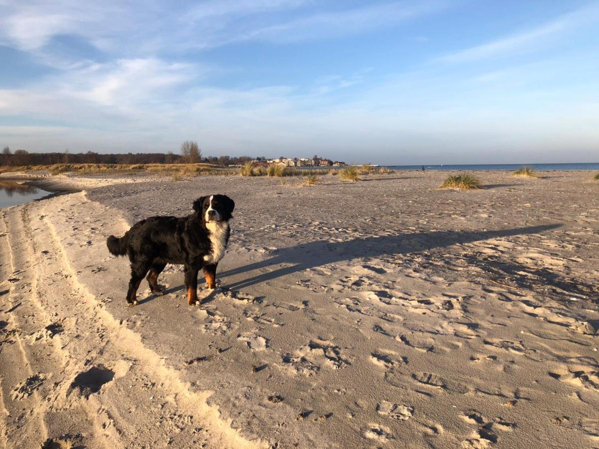 Ferienwohnung „Die Koje“ Hohwacht/Ostsee ภายนอก รูปภาพ